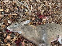 23 D3.2.jpg 23 D3.2.jpg