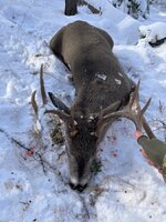 thumbnail_IMG_3350.jpg
