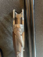 IMG_2763.jpeg
