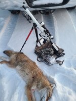 20201231_163833.jpg