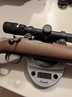 PXL_20231109_055038475 (1).jpeg