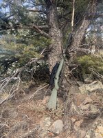 IMG_6416.jpeg