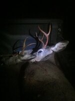 IMG_1087.jpeg