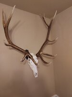 20230820_162141.jpg 20230820_162141.jpg