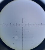 IMG_4029.jpeg