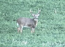 IMG_3955.jpeg