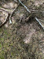 IMG_8722.jpeg