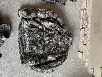 IMG_5869.jpeg