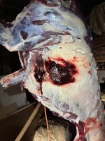 IMG_1893.jpeg