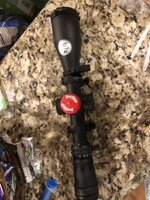 IMG_8338.jpeg