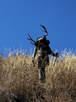 IMG_8969.jpeg