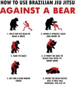 BearTakedown1.jpg