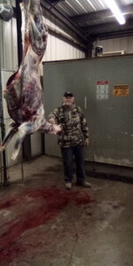 IMG_20231113_203243_5.jpg IMG_20231113_203243_5.jpg