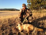 WY_coyote 2012.jpg