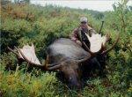 72 in Moose - Alaska 001.jpg