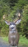 buck.jpg