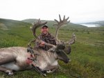 caribou (29).jpg