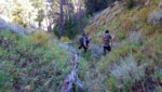 20180902_210240[1].jpg