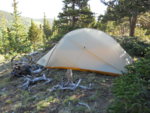 2012 Archery Deer 048.jpg