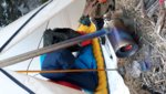 20190210_074153.jpeg