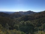 B66266EC-CB10-4758-B974-916BCED14ED0.jpeg