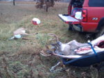 IMG_20111108_105049.jpg