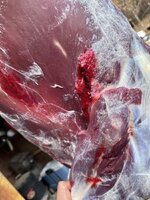 IMG_0145.jpeg