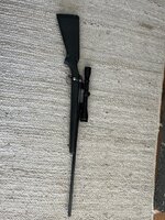 IMG_2634.jpeg