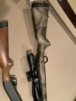 IMG_8343.jpeg