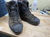 IMG_2095.jpeg