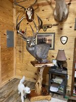 IMG_0065.jpeg