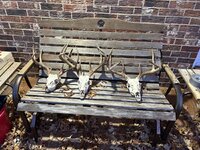 IMG_5624.jpeg