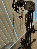 IMG_6230.jpeg