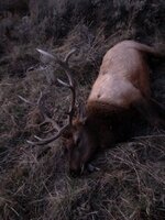 IMG_2037.jpeg