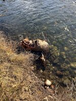 IMG_9305.jpeg