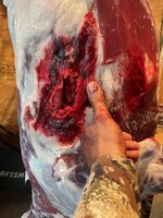 IMG_6713.jpeg