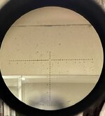 IMG_6300.jpeg