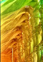 IMG_8971 2.jpeg
