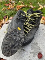 IMG_4250.jpeg