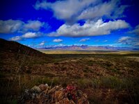 IMG_5646.jpeg