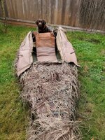 20201009_101954.jpg