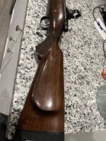 IMG_3950.jpeg
