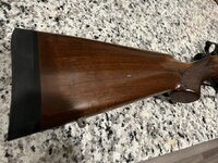 IMG_3953.jpeg