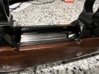 IMG_3955.jpeg