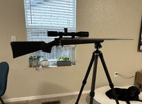 IMG_7697.jpeg