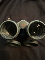 IMG_6730.jpeg