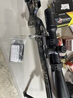 IMG_0948.jpeg