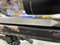 IMG_0943.jpeg