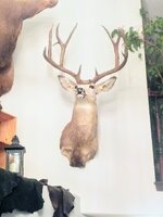 IMG_20161121_243051682.jpg