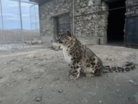 IMG_3379.jpeg